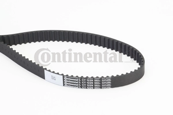 Timing Belt